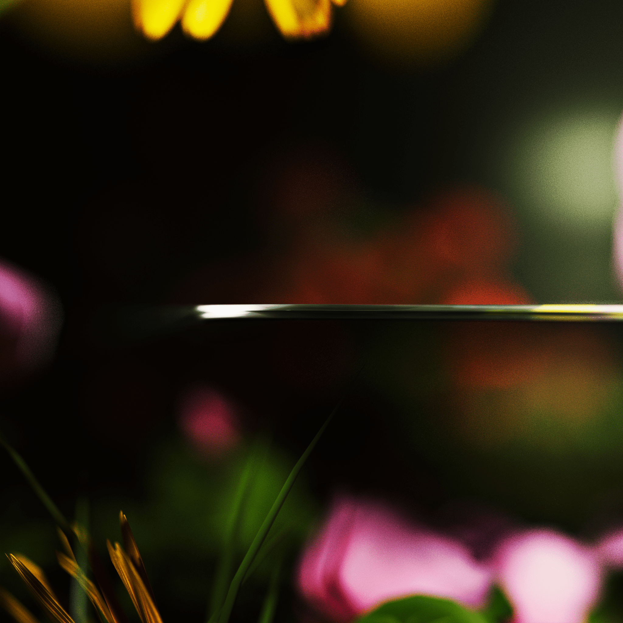 The Return (Glass Edition) – Midori Group